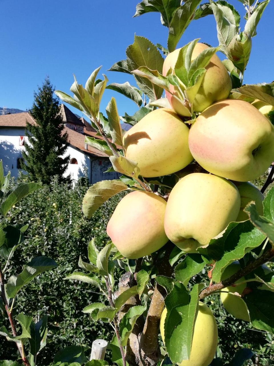Agritur Ciastel Villa Sanzeno Eksteriør bilde